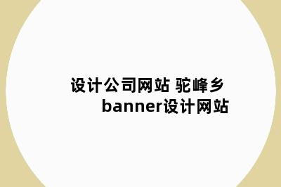 设计公司网站 驼峰乡banner设计网站